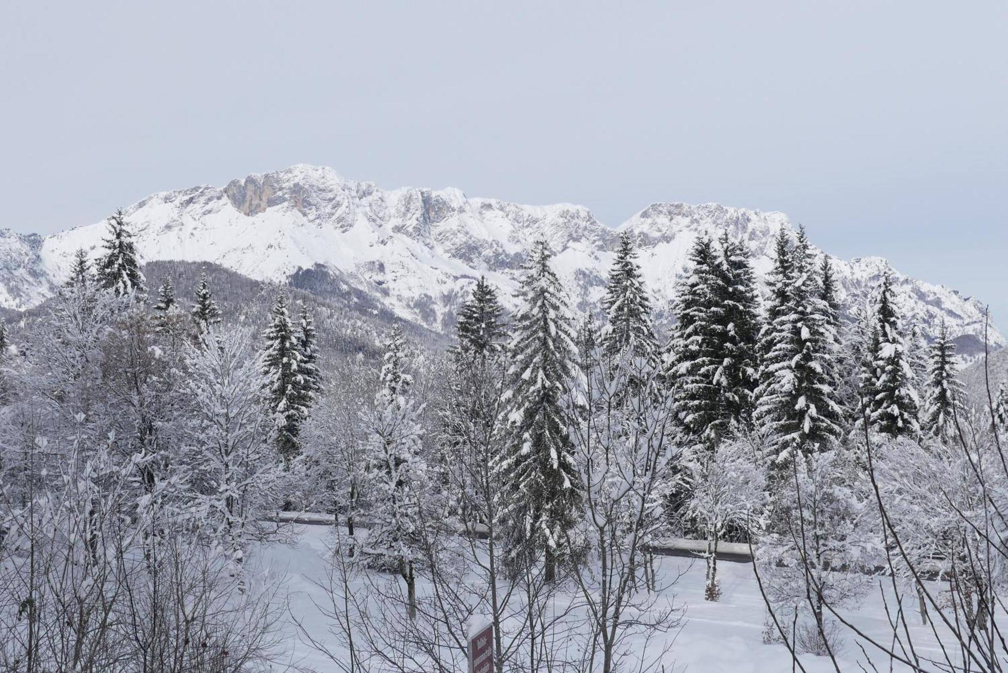 Haus Elisabeth, Ahornkaser * Berchtesgaden